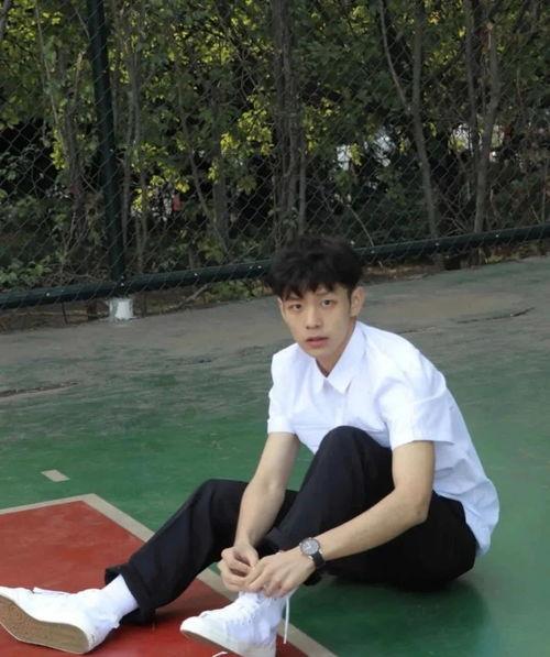 网红爆料乐仔视频大全,乐仔视频大全，笑料百出，欢乐无限